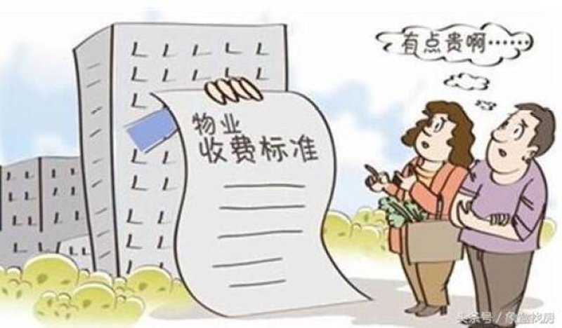 高效保安保洁服务案例分析：如何提升企业形象与员工满意度